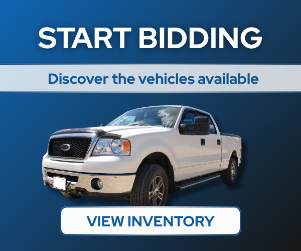 Start bidding