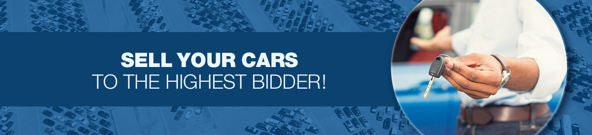 Sell your cars to the highest bidder!